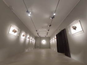 Museum - Francesco Pozzi